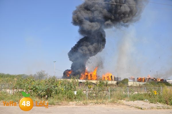 firecartoonsecnd506 (16).JPG